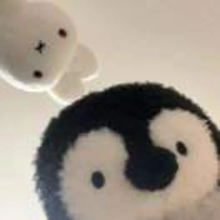 知南的头像