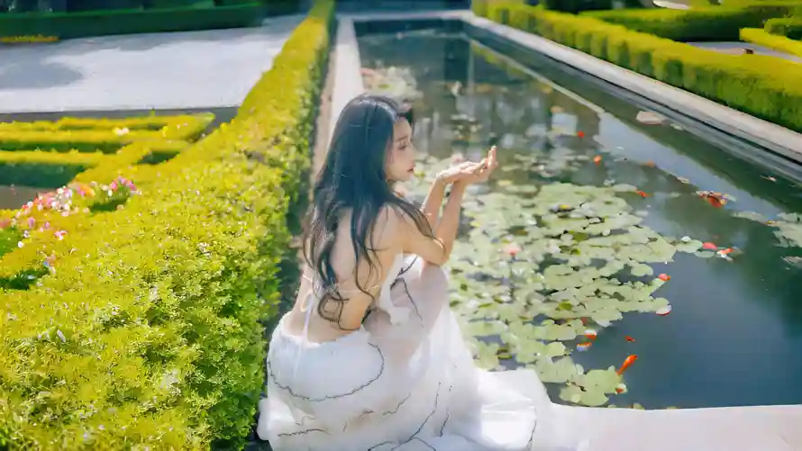 4k夏日壁纸-阳光 - 锦鲤-壁纸推荐「哲风壁纸」