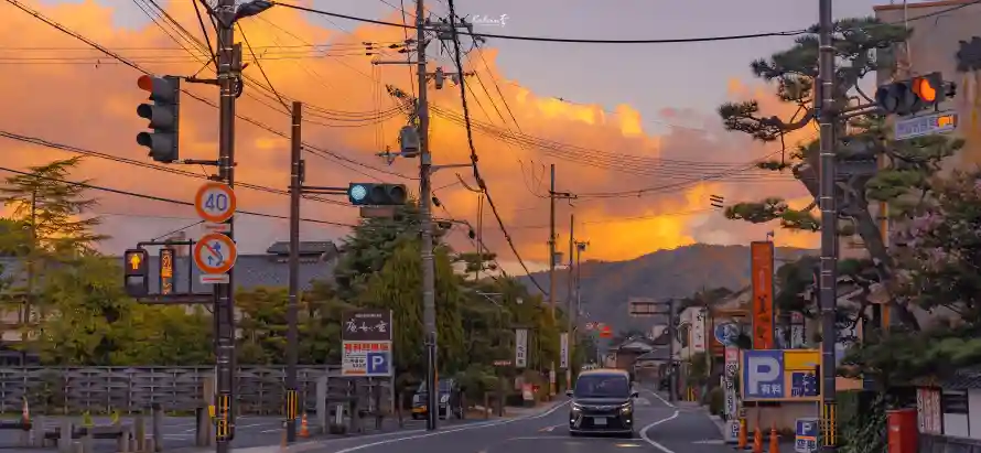 4k公路壁纸 - 日落 - 晚霞 - 松树「哲风壁纸」 4k公路壁纸 - 日落 - 晚霞 - 松树「哲风壁纸」