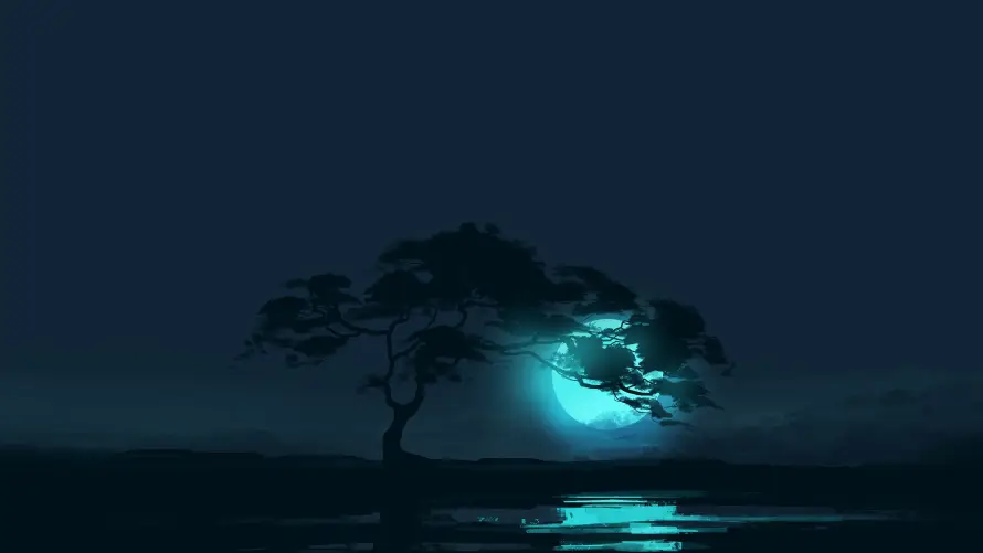 6k夜景壁纸-冷色调壁纸和孤树-水面倒影壁纸推荐「哲风壁纸」