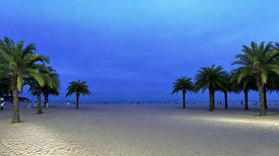 3k夜景壁纸-静谧 - 海边-壁纸分享「哲风壁纸」