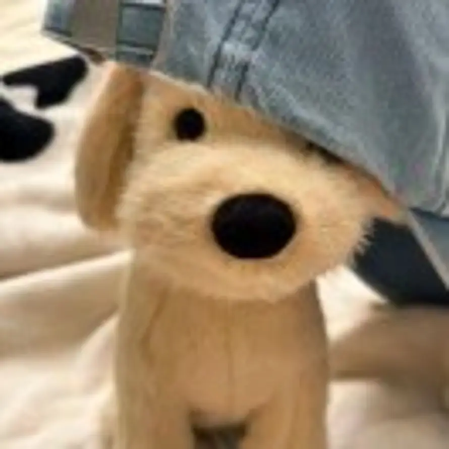 🐷的头像