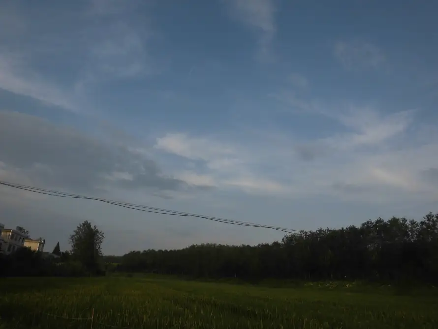 4k乡野壁纸 - 天空 - 户外 - 树木「哲风壁纸」 4k乡野壁纸 - 天空 - 户外 - 树木「哲风壁纸」