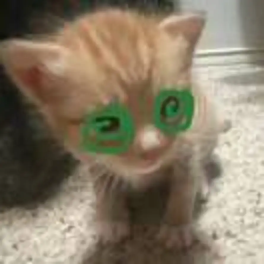 Σ的头像