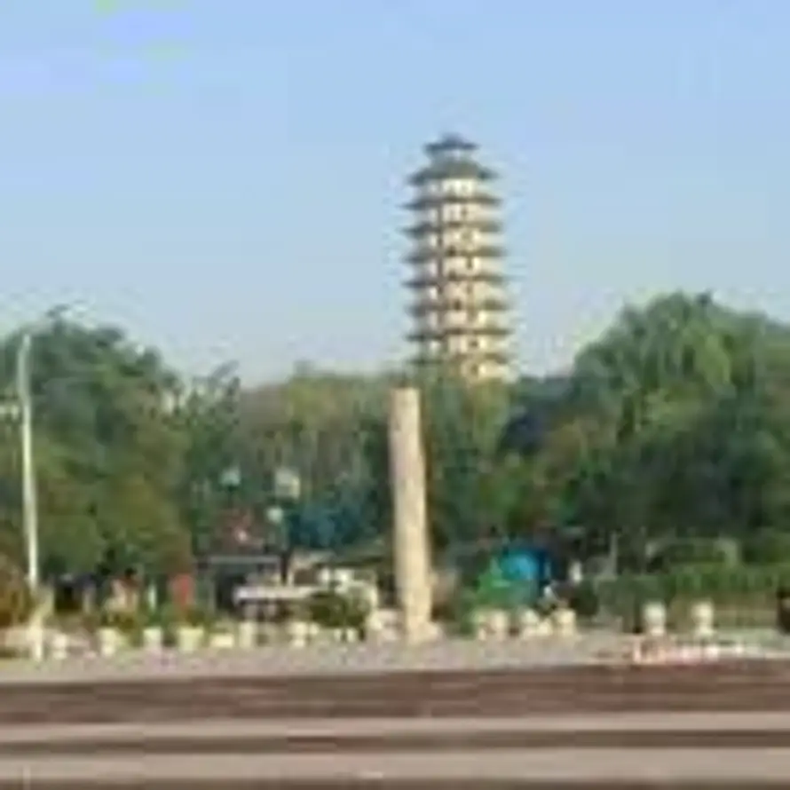 明天会更好🌴的头像