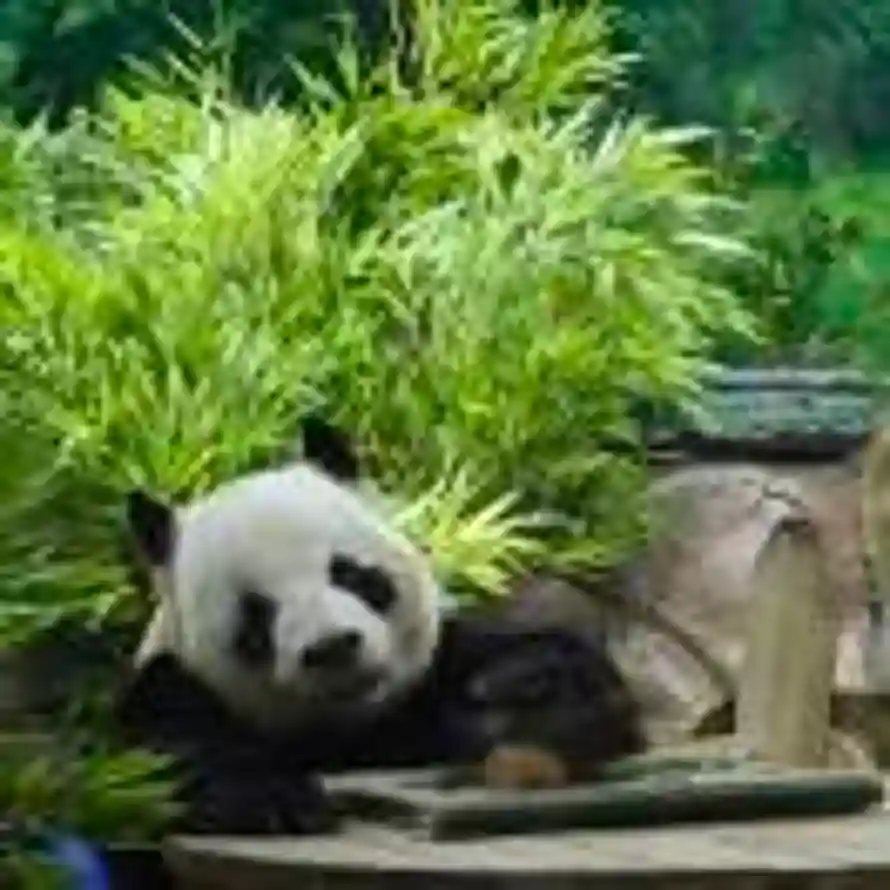 李金垚的头像