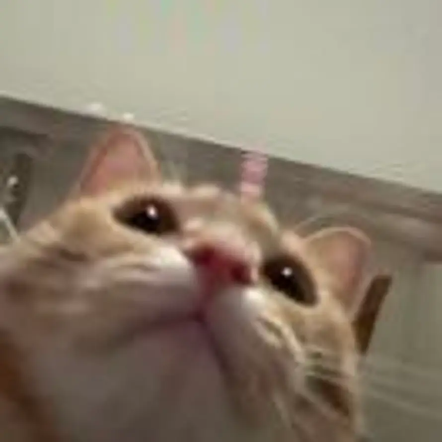 早點睡的头像