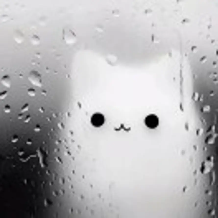 不熬夜了的头像
