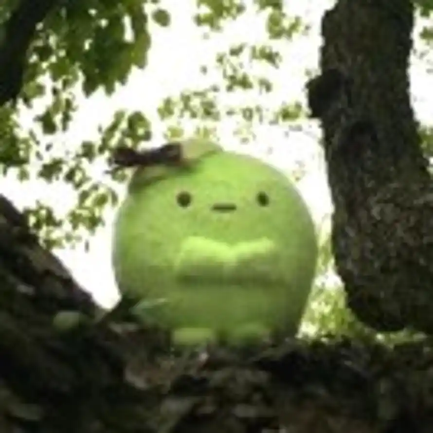 wen.的头像