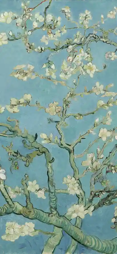 4k杏花壁纸 - 枝干 - 梵高 - 水墨「哲风壁纸」