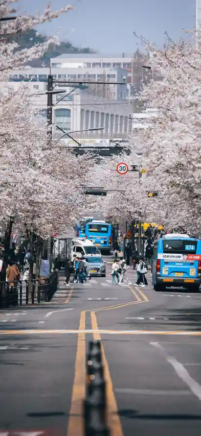 主题背景图片