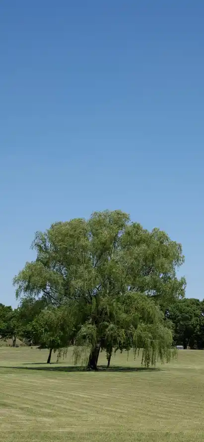 4k平原壁纸 - 开阔 - 户外 - 晴天「哲风壁纸」