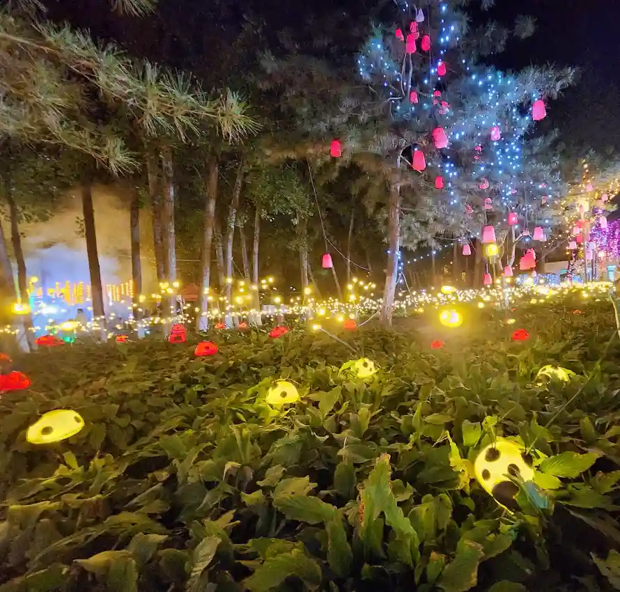 4k公园壁纸 - 夜景 - 彩灯 - 树木「哲风壁纸」 4k公园壁纸 - 夜景 - 彩灯 - 树木「哲风壁纸」