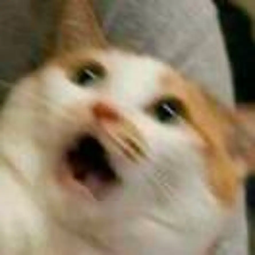 明昼.的头像