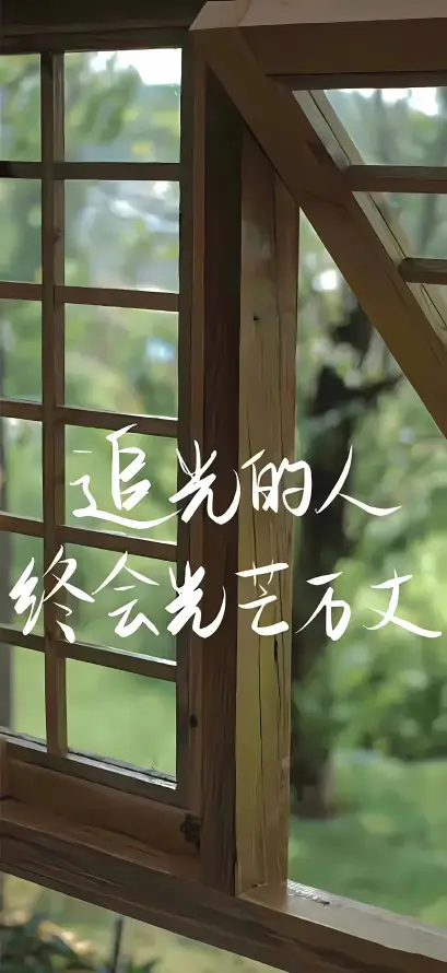 4k文字壁纸 - 树木 - 治愈 - 清新「哲风壁纸」