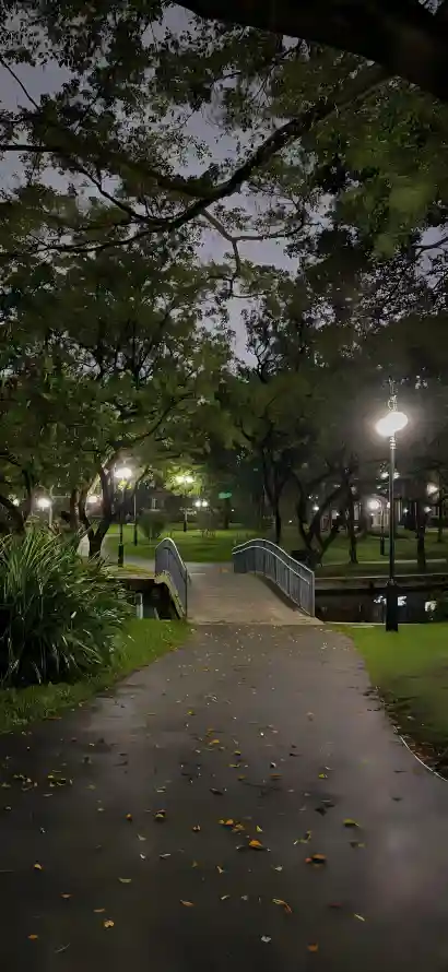 4k公园壁纸 - 夜景 - 小桥 - 树木「哲风壁纸」