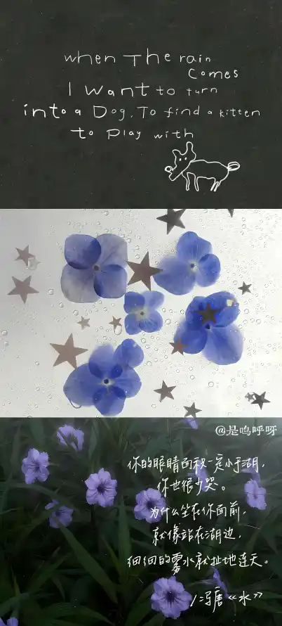 4k手绘壁纸 - 拼贴 - 文艺 - 植物「哲风壁纸」