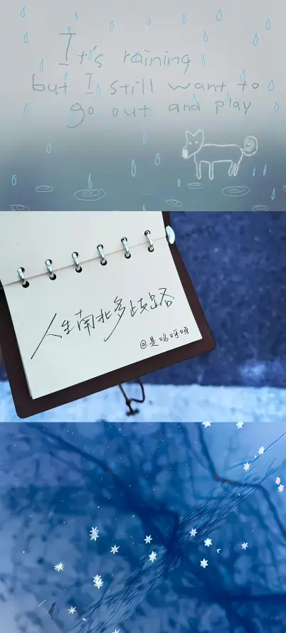 4k小狗壁纸 - 简约 - 蓝色 - 插图「哲风壁纸」