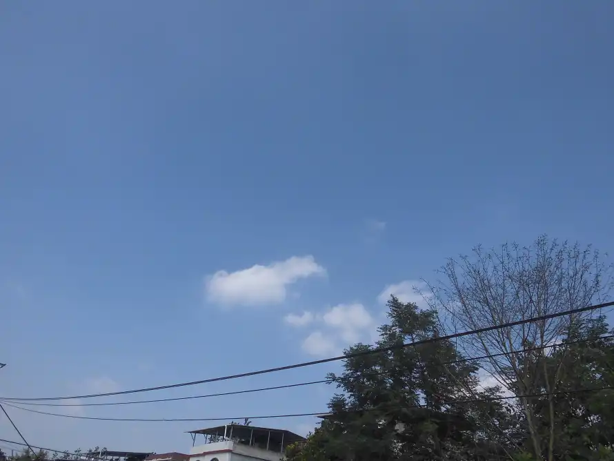 4k天空壁纸 - 户外 - 晴朗 - 树木「哲风壁纸」