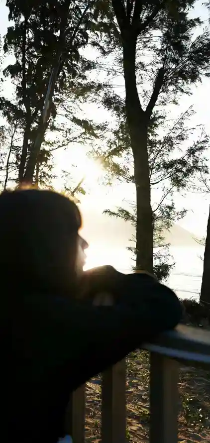 4k侧脸壁纸 - 户外 - 日落 - 树林「哲风壁纸」