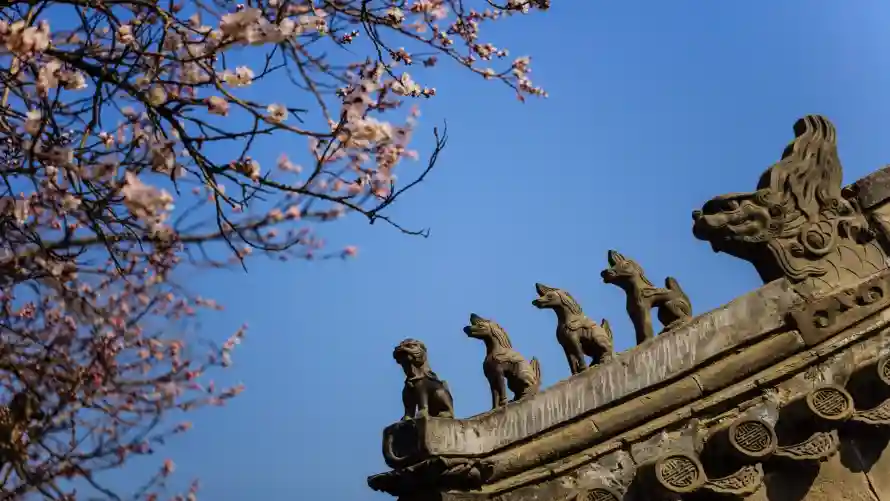 4k春日壁纸 - 晴空 - 桃花 - 檐角「哲风壁纸」