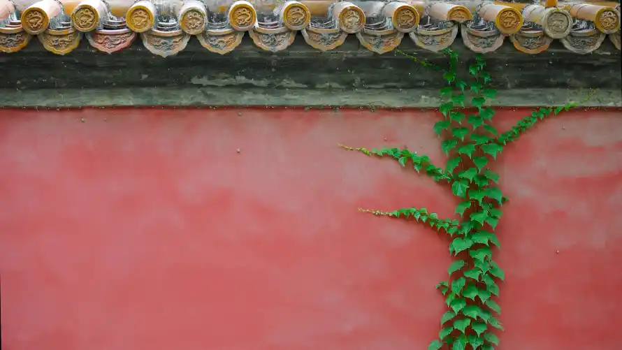 4k古建壁纸 - 墙面 - 撞色 - 红墙「哲风壁纸」