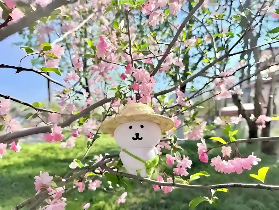 4k可爱壁纸 - 户外 - 春游 - 桃花「哲风壁纸」