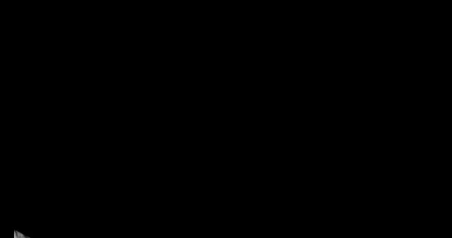 最喜欢的图像