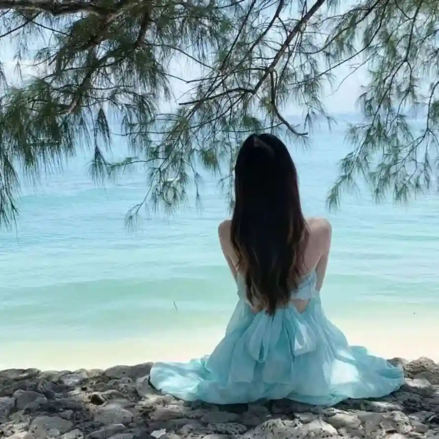 4k夏日壁纸 - 度假 - 户外 - 树枝「哲风壁纸」