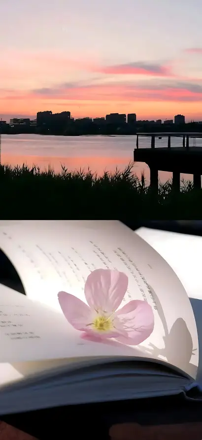4k书页壁纸 - 休闲 - 夕阳 - 晚霞「哲风壁纸」