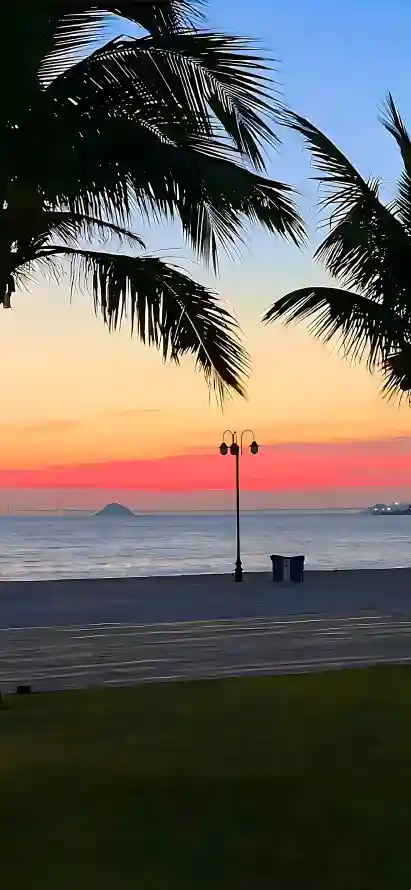 4k晚霞壁纸 - 椰树 - 步道 - 海景「哲风壁纸」
