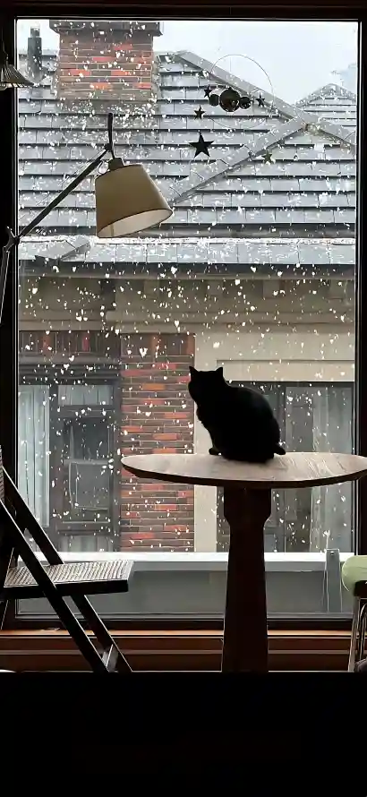 4k下雪壁纸 - 冬日 - 台灯 - 圆桌「哲风壁纸」