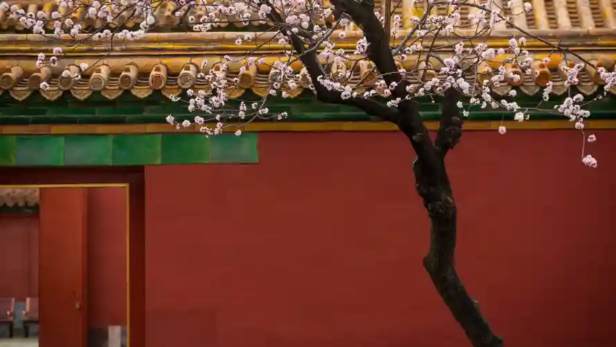 2k古韵壁纸-故宫 - 春季-春花「哲风壁纸」
