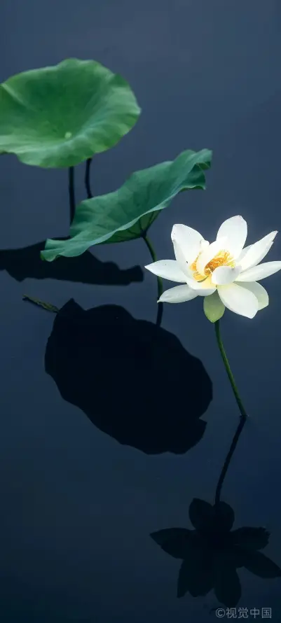 4k11壁纸 - 22 - 倒影 - 冷调「哲风壁纸」