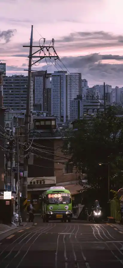 4k城市壁纸 - 晚霞 - 暮色 - 绿植「哲风壁纸」