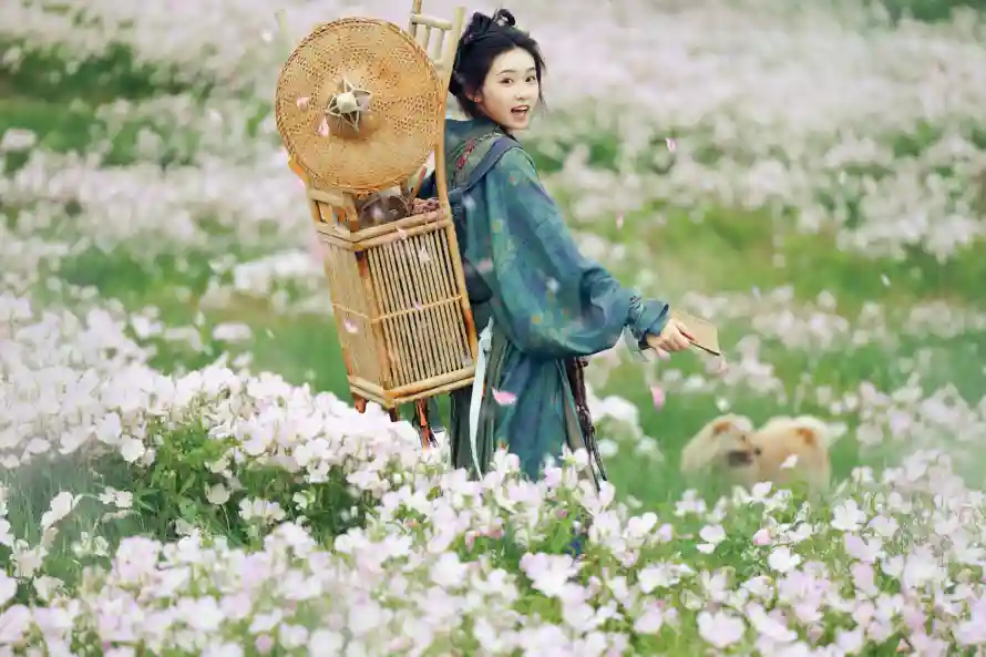 4k书箱壁纸-古风 - 小狗-师妹「哲风壁纸」