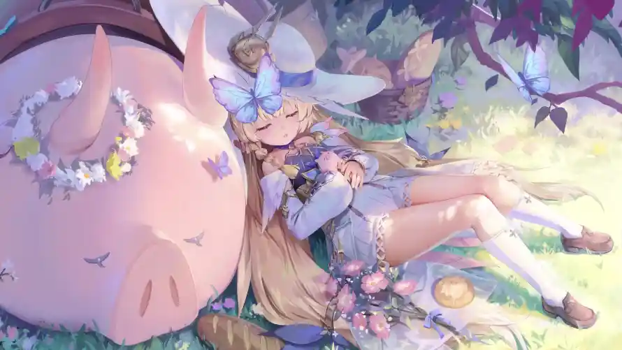 4k森系壁纸-治愈 - 白袜-花朵「哲风壁纸」
