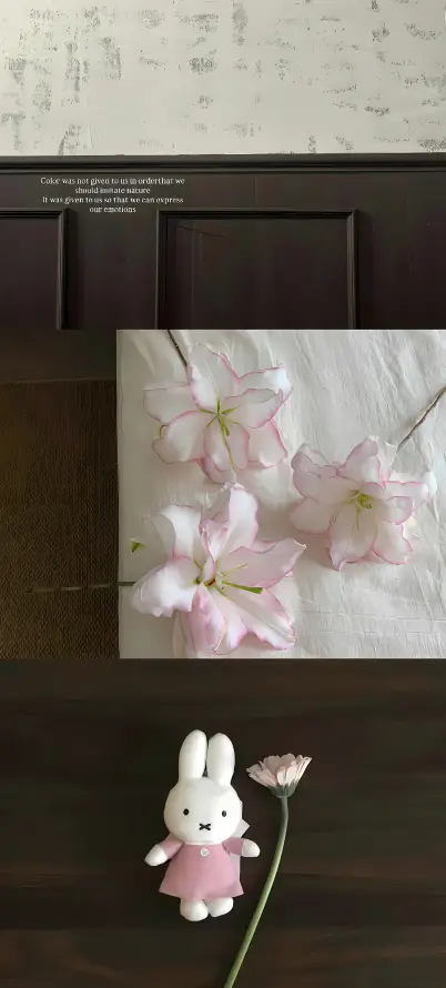 4k干花壁纸 - 玩偶 - 软萌 - 静物「哲风壁纸」