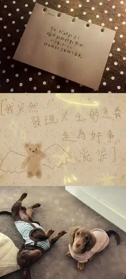 4k便签壁纸 - 可爱 - 居家 - 手账「哲风壁纸」
