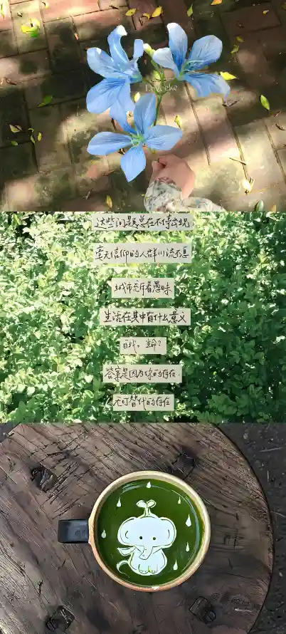 4k咖啡壁纸 - 木桌 - 治愈 - 清新「哲风壁纸」