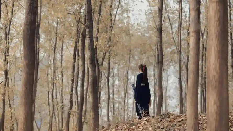 4k侠女壁纸-写真 - 古风-林间「哲风壁纸」