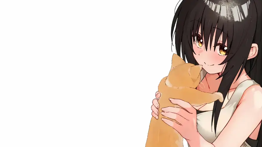 4k微笑壁纸-抱猫 - 橘猫-猫控「哲风壁纸」