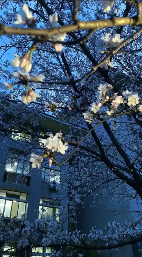 4k仰拍壁纸 - 城市 - 夜景 - 建筑「哲风壁纸」