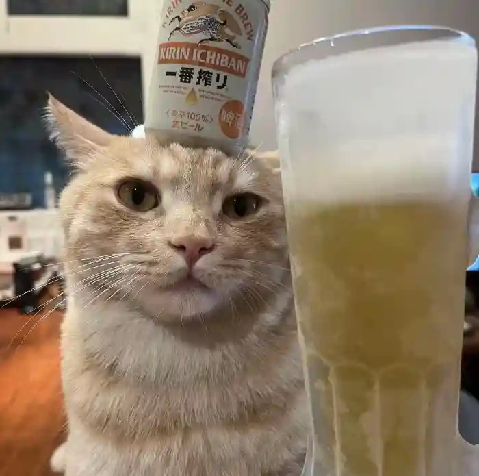 DELETE的头像