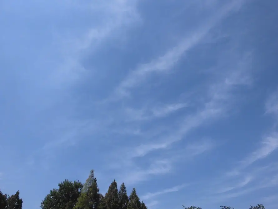 5k天空壁纸-户外 - 晴天-晴空「哲风壁纸」