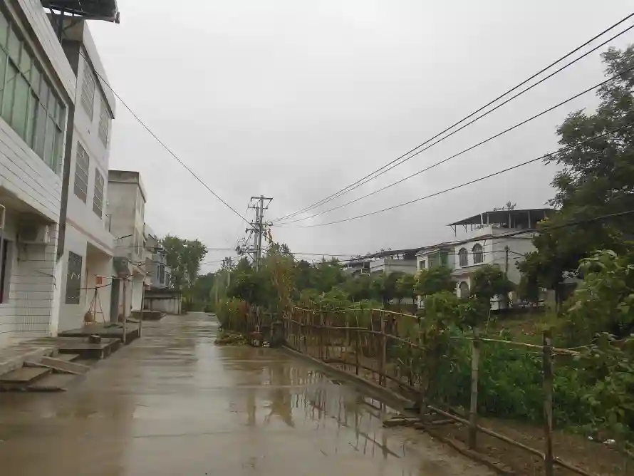 4k乡村壁纸 - 村庄 - 树木 - 民居「哲风壁纸」