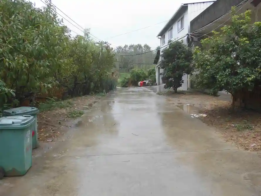 4k乡村壁纸 - 户外 - 树木 - 民房「哲风壁纸」
