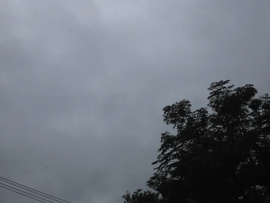 5k云层壁纸-仰拍 - 冷调-天空「哲风壁纸」