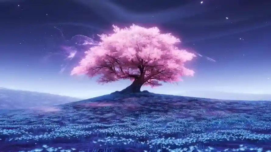 2k原野壁纸-夜景 - 夜空-插画「哲风壁纸」