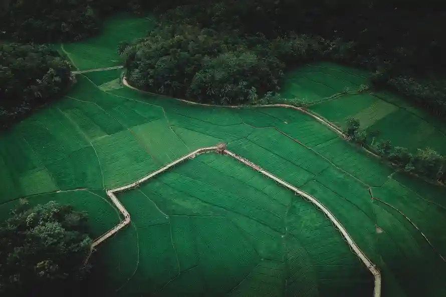 4k乡村壁纸 - 农田 - 林地 - 田园「哲风壁纸」